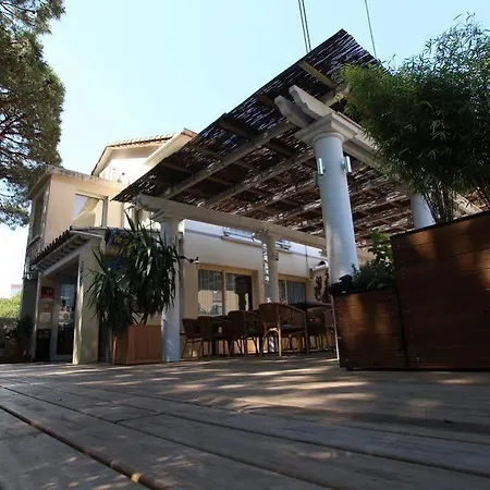 L'oasis