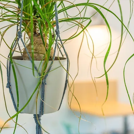 L'oasis Hotel Fréjus