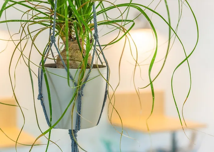 L'oasis Hotel Fréjus